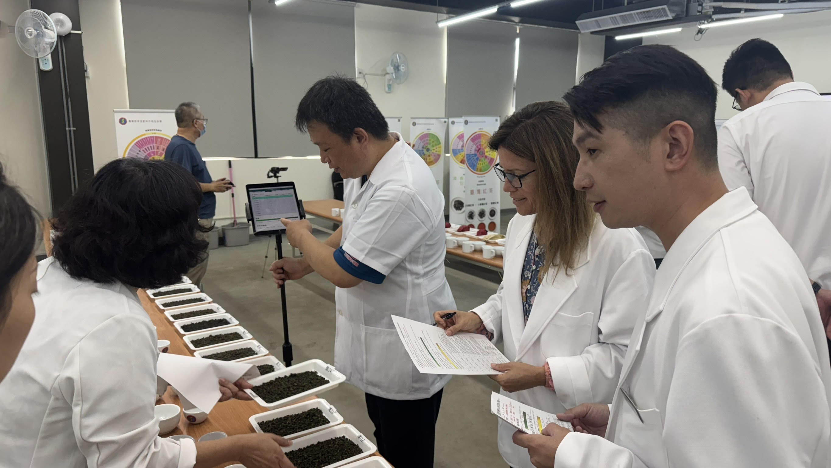 圖四：國際學界評審Ann體驗TAGs數位評鑑系統